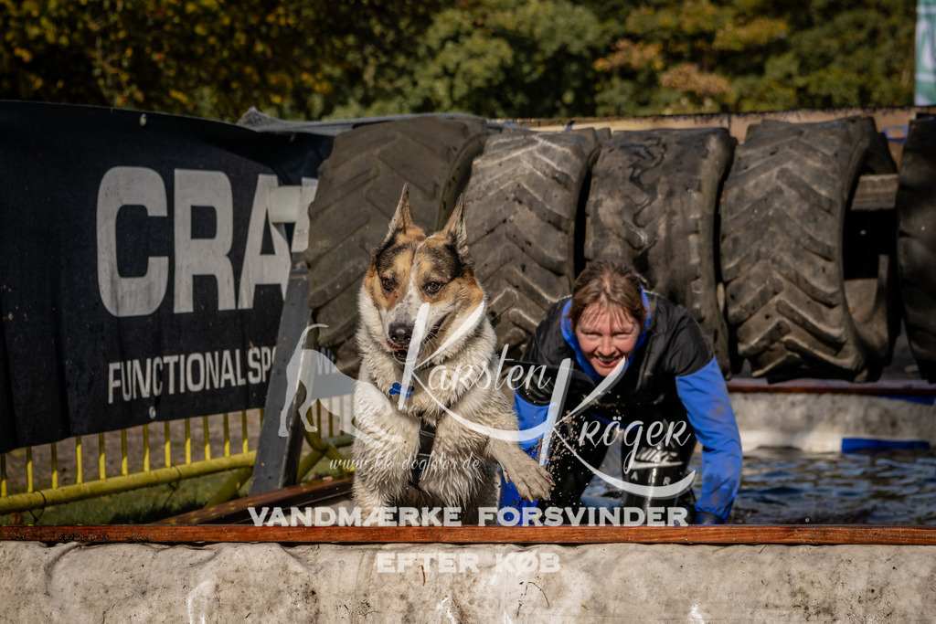 1306_ZZ91989 | kk-dogfotos