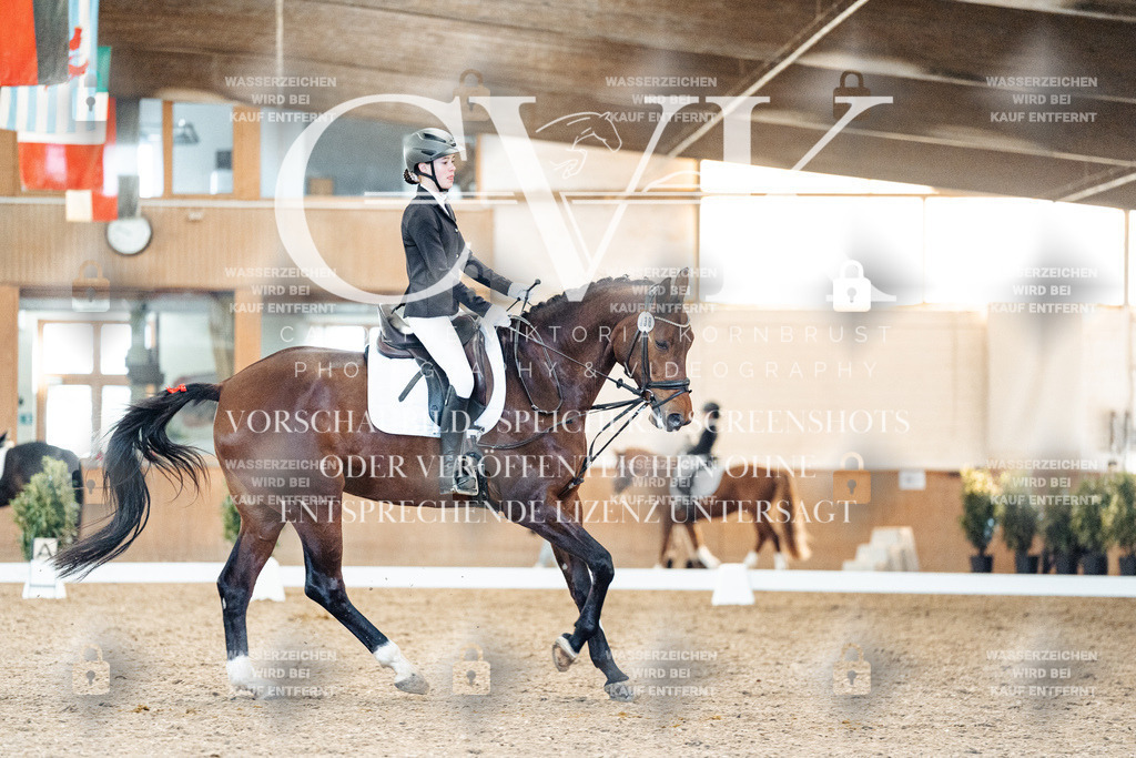 CK908086 | Turnierfotografie Pferdefotografie Trier Rheinland-Pfalz Pferdesport Reitsport Tierfotografie Sportfotografie Pferdevideo Pferdevideografie Equestrianvideography equestrianphotography  - Realized with Pictrs.com