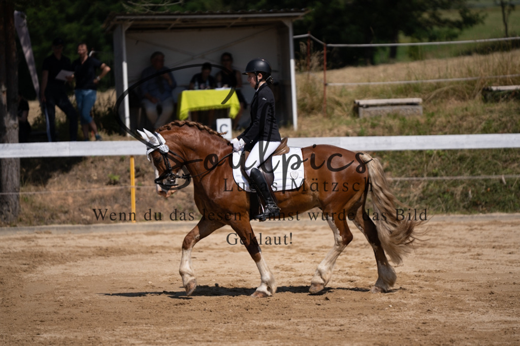 A7V07934 | Pferdefotograf