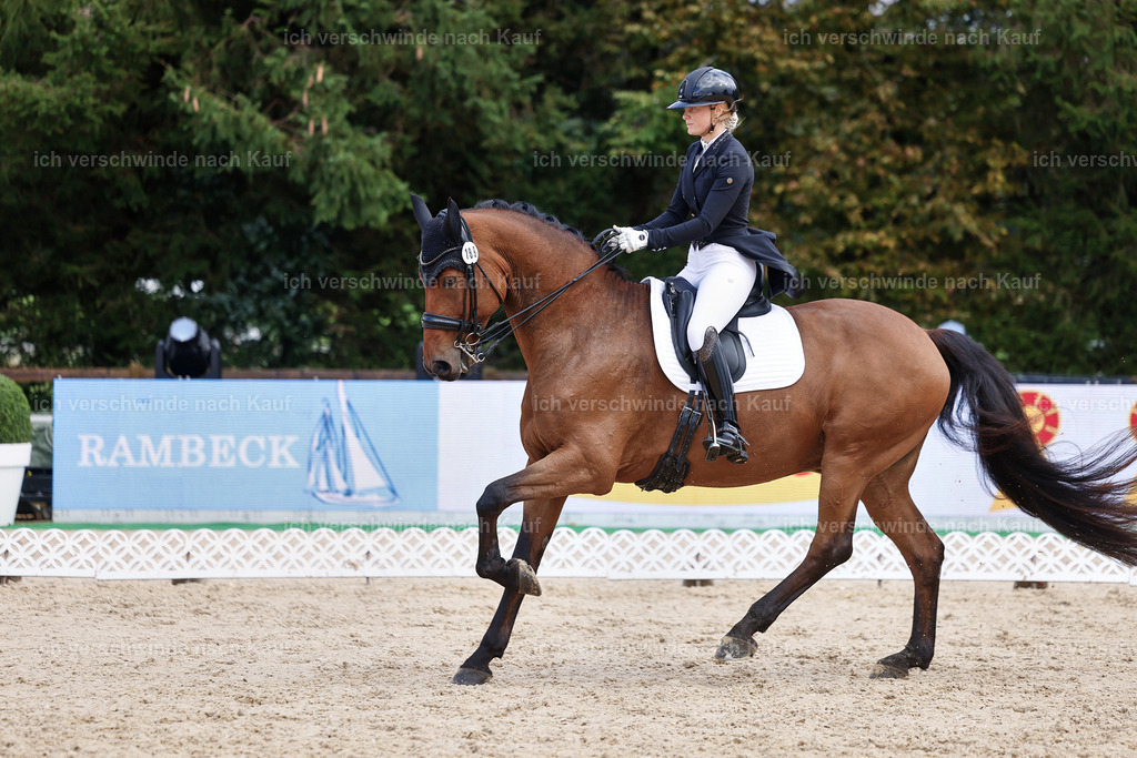 07-189-DRESSUR  S___  -StoibPH-5057 | working equitationturnier fotograf videograf stoibphotography marixx film working equitation deutschland reitsport turnierfotografie eventfotografie equestrian events