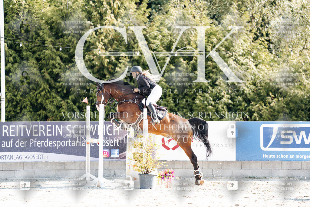 CK902513 | Turnierfotografie Pferdefotografie Trier Rheinland-Pfalz Pferdesport Reitsport Tierfotografie Sportfotografie Pferdevideo Pferdevideografie Equestrianvideography equestrianphotography  - Realisiert mit Pictrs.com