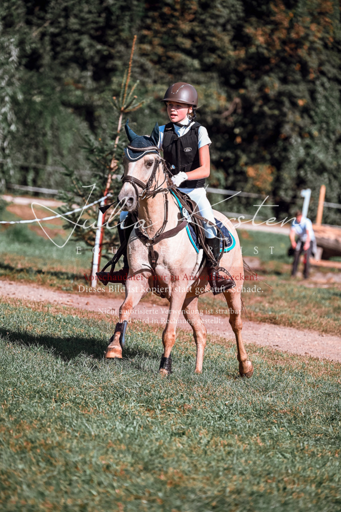 DSC_1072 | Pferde- und Turnierfotografie in Westsachsen. Pferdeportraits, Auftragszeichnungen und intuitive Kunst.