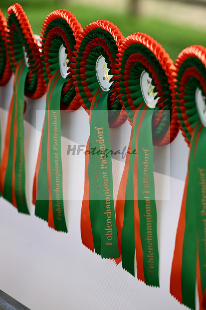 Impressionen_27230074 | hf-fotografie - Realisiert mit Pictrs.com