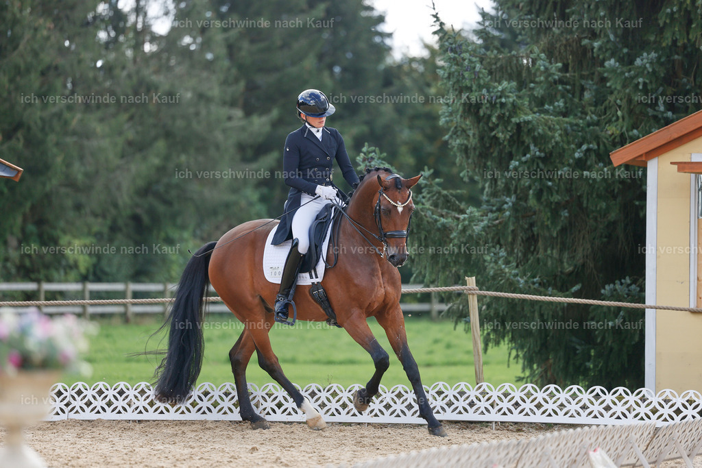 09_2-100-DRESSUR  S_  -StoibPH-5874 | working equitationturnier fotograf videograf stoibphotography marixx film working equitation deutschland reitsport turnierfotografie eventfotografie equestrian events