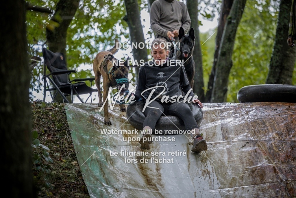 nelerasche_Hunsrück_Sa1430-1500_03-final | nelerasche