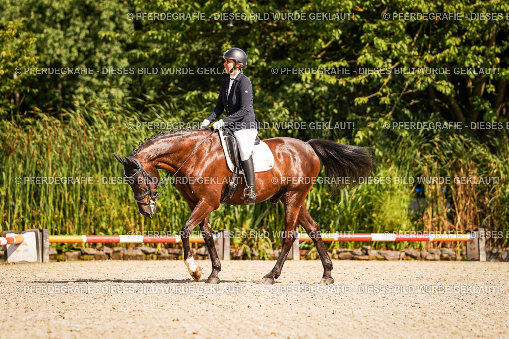 DSC00984 | Pferdegrafie