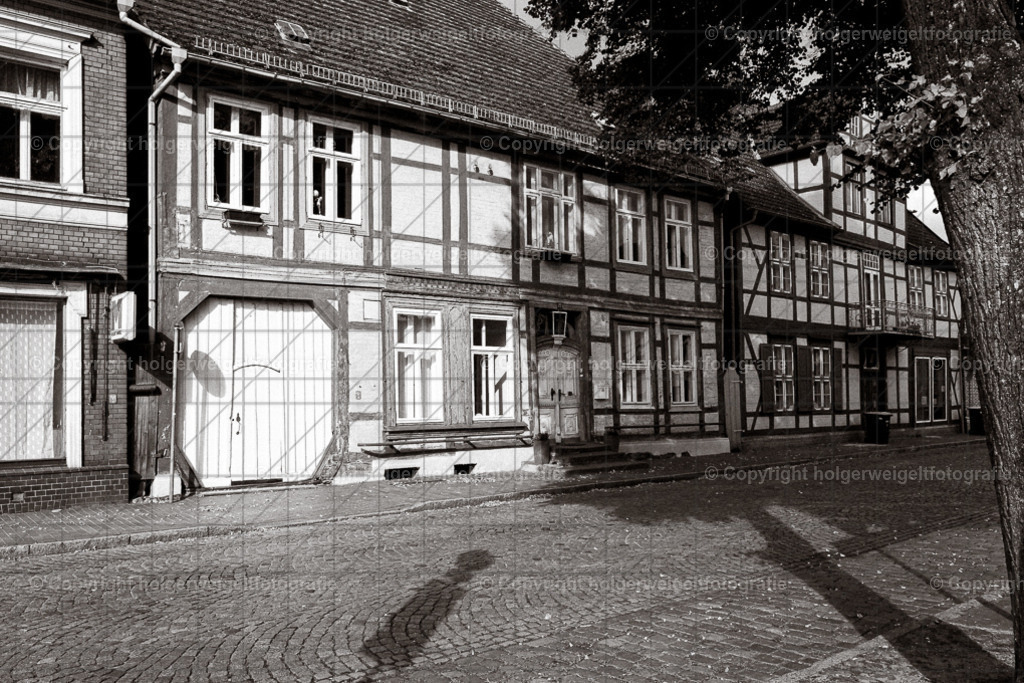 20221008122406D75_0719 | Kaufen sie online außergewöhnliche Fotografien auf Leinwand Acrylglas Fotoprint Aludibond von holgerweigeltfotografie - Realized with Pictrs.com