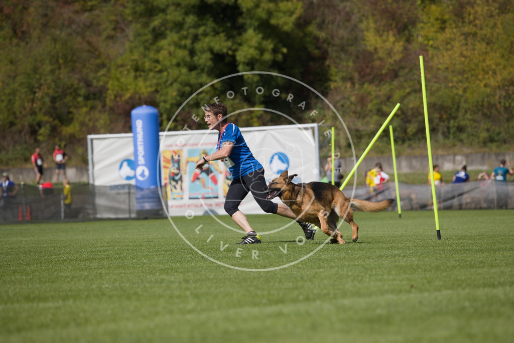 0L8A2721 | Hundefotografie, Tierfotograf, Pfotenfotografie, Fotoshooting Hund, Hunde Portrait, Hundesport, Hundeportraits, Heideshooting, Hunde, Sportfotograf, Hundefotograf, Turnierhundsport, THS,  - Realisiert mit Pictrs.com