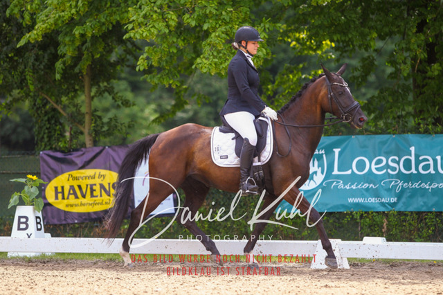 DKP42224 | Turniersportfotografie; Pferdefotografie; Dressurfotografie