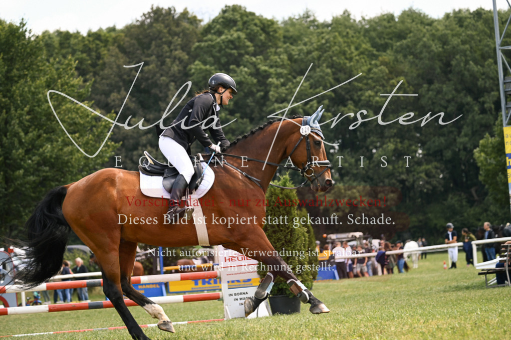 DSC_9168 | Pferde- und Turnierfotografie in Westsachsen. Pferdeportraits, Auftragszeichnungen und intuitive Kunst.