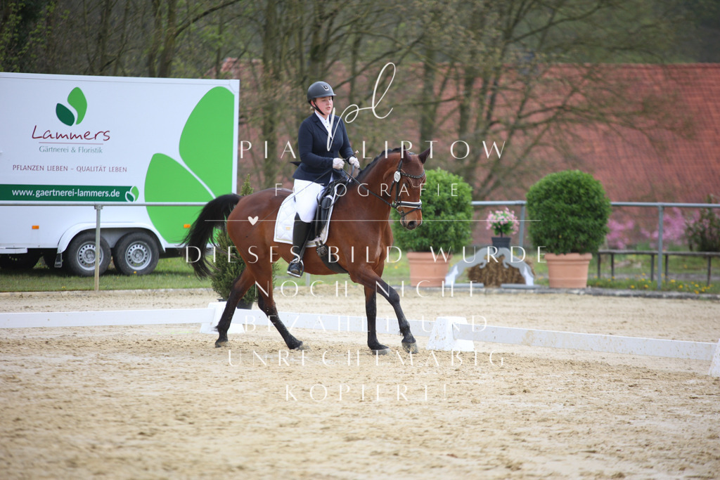 IMGT5328 | pl-fotografie