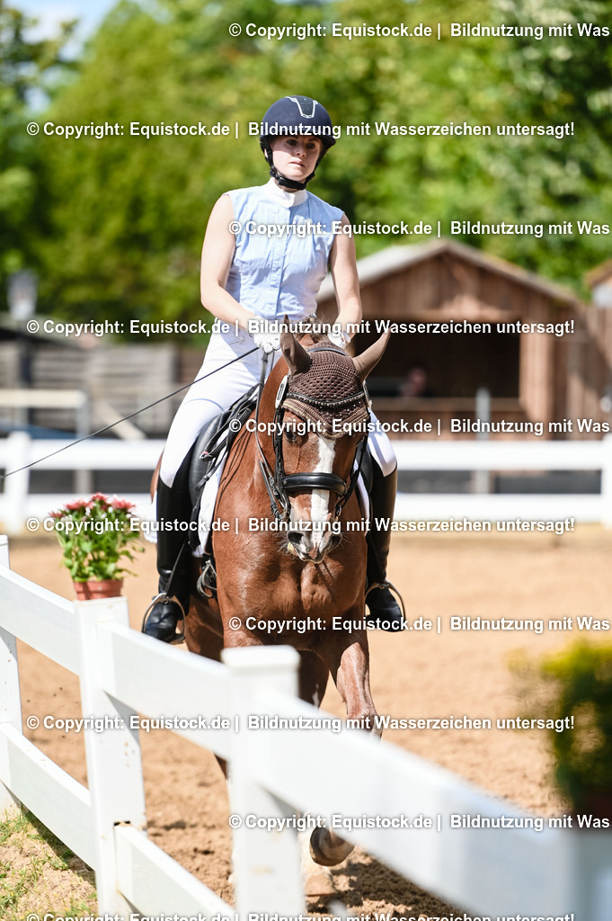 20230716_01_Dressurprüfung Kl.M_0256 | equistock