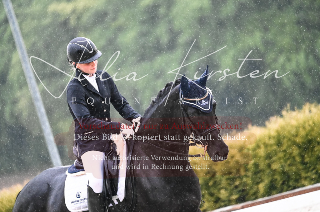 DSC_4756 | Pferde- und Turnierfotografie in Westsachsen. Pferdeportraits, Auftragszeichnungen und intuitive Kunst.