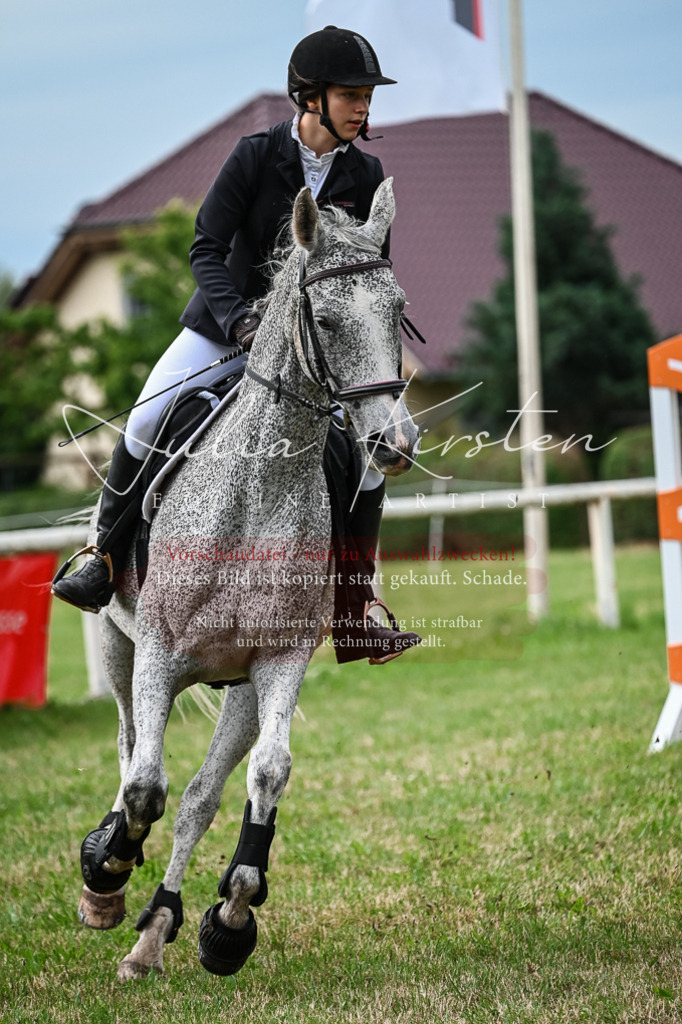 DSC_8341 | Pferde- und Turnierfotografie in Westsachsen. Pferdeportraits, Auftragszeichnungen und intuitive Kunst.
