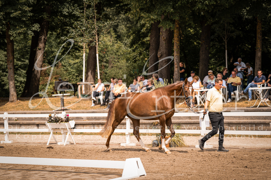 2. Fr00179 | Leoni Ertmer Photography - Realisiert mit Pictrs.com