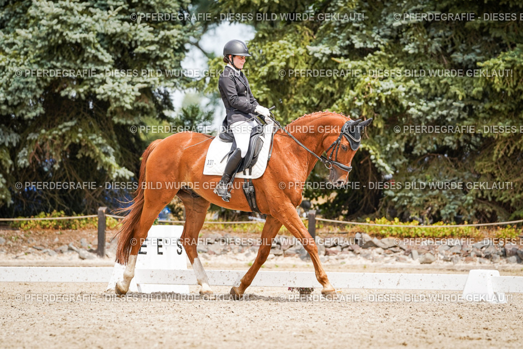 DSC03965 | Pferdegrafie