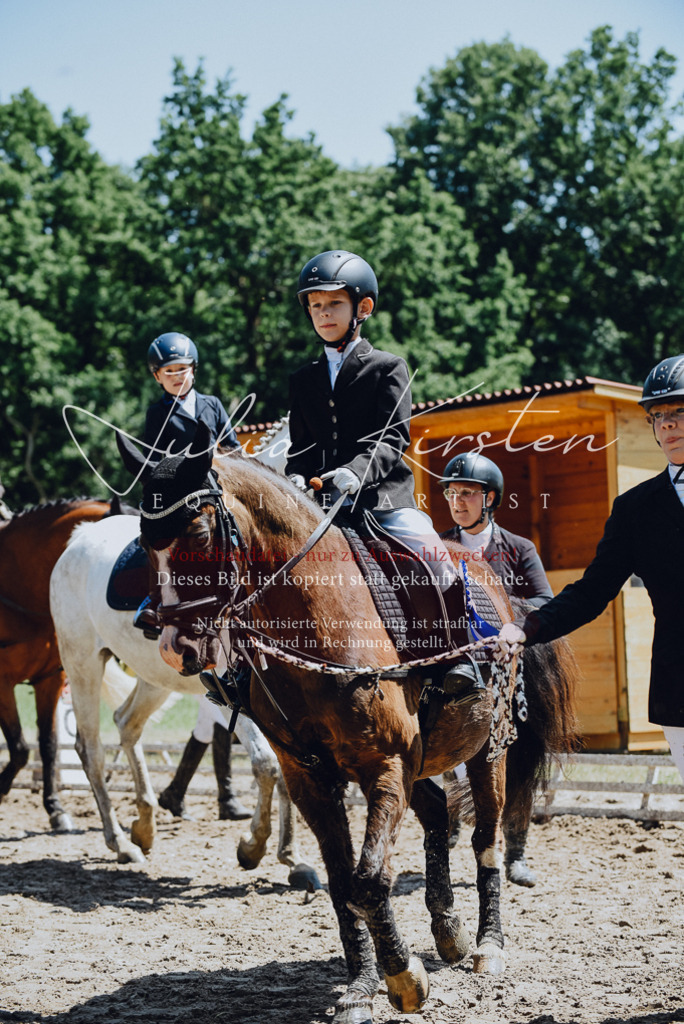 DSC_2368 | Pferde- und Turnierfotografie in Westsachsen. Pferdeportraits, Auftragszeichnungen und intuitive Kunst.
