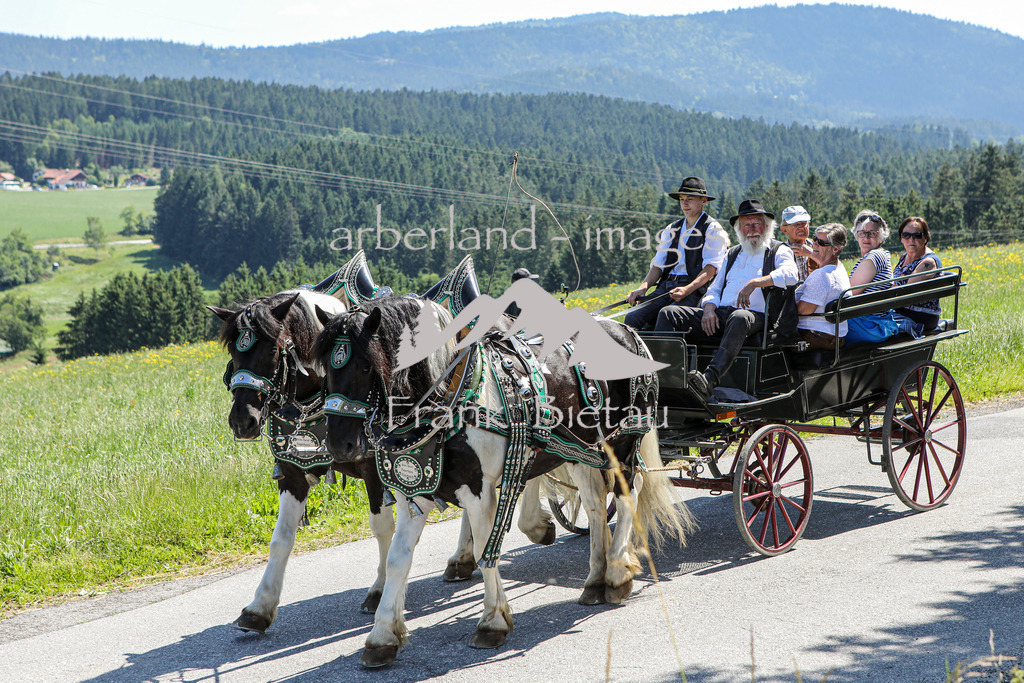 OE7A8486 | Medien- Sport- Entertainmentfotos