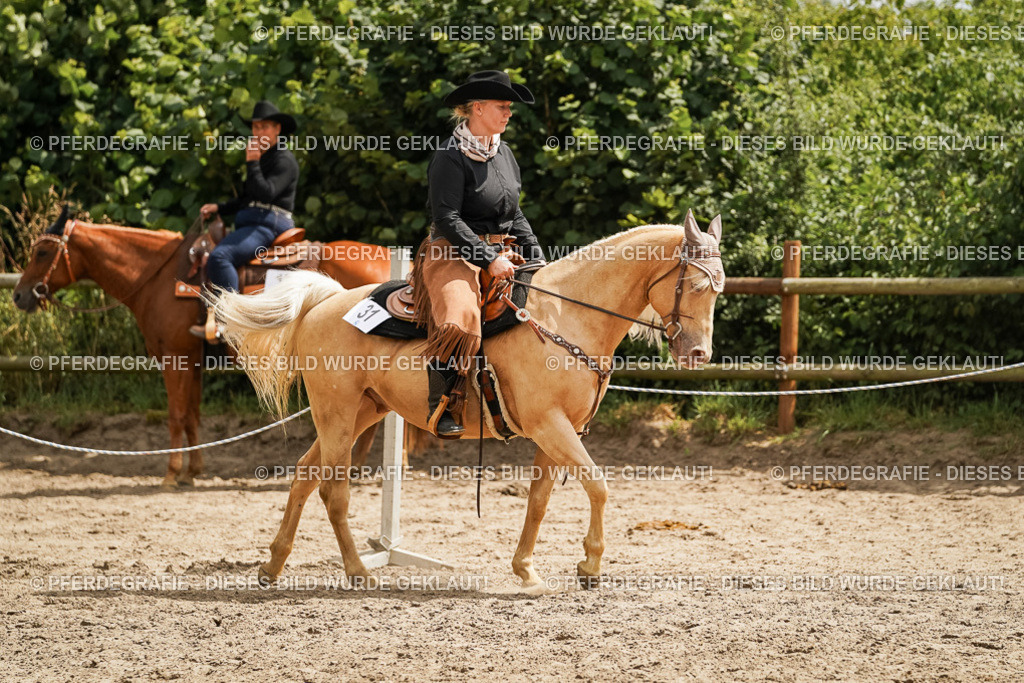 DSC00383 | Pferdegrafie