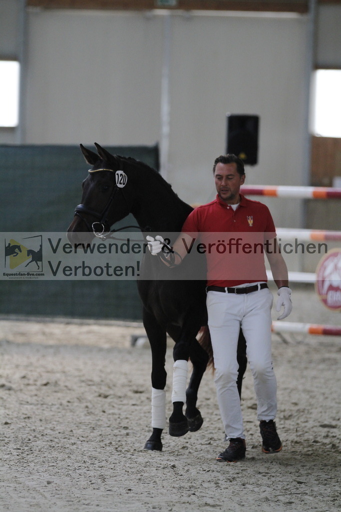 _MG_9377 | equestrian-live-com