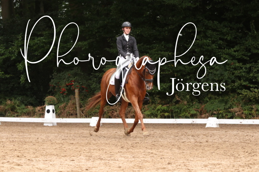 IMG_0018 | photographesa-joergens - Realisiert mit Pictrs.com