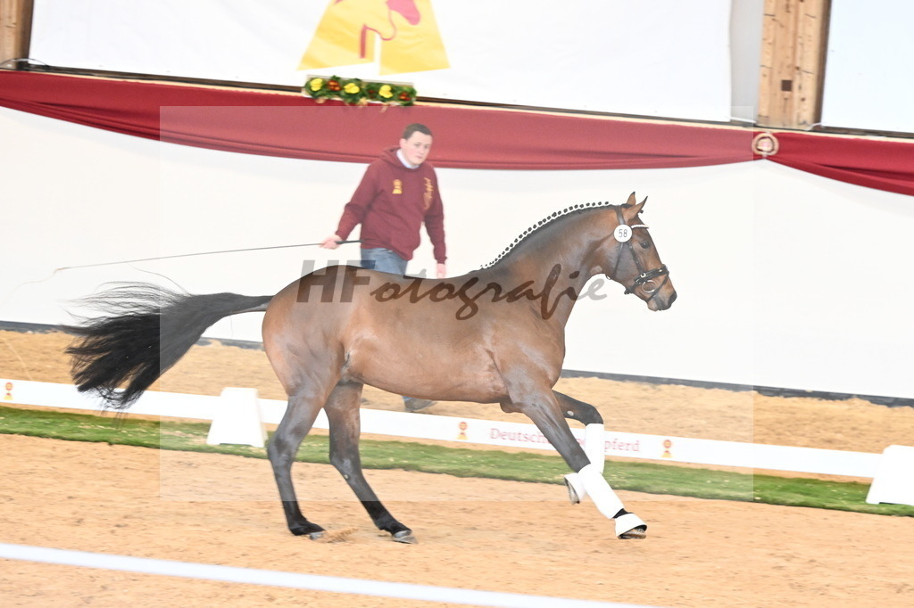 Kat.-Nr. 58 v. Monte Carlo TC_Fischer_2240854 | hf-fotografie - Realisiert mit Pictrs.com