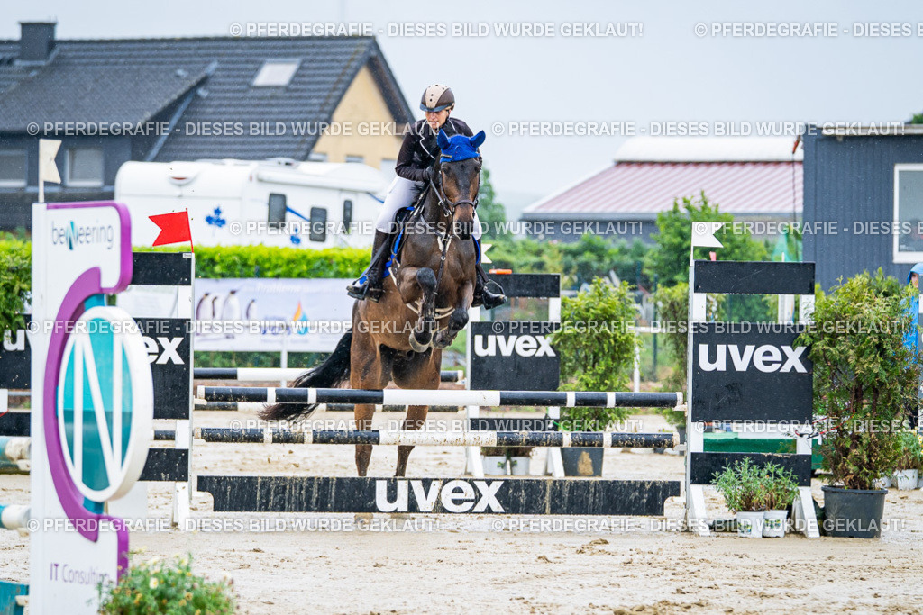 DSC03113 | Pferdegrafie