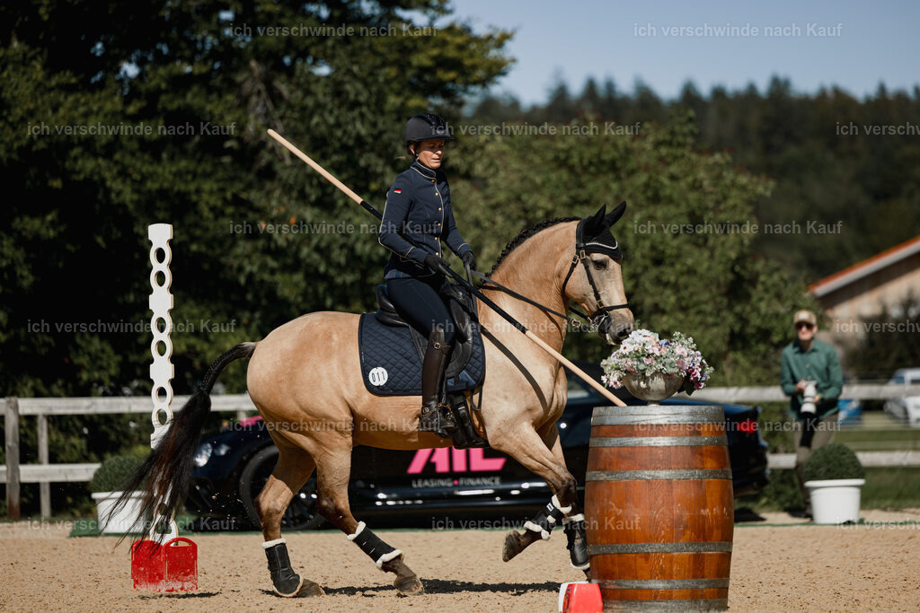 Diana11_FHC2025-27514 | working equitationturnier fotograf videograf stoibphotography marixx film working equitation deutschland reitsport turnierfotografie eventfotografie equestrian events