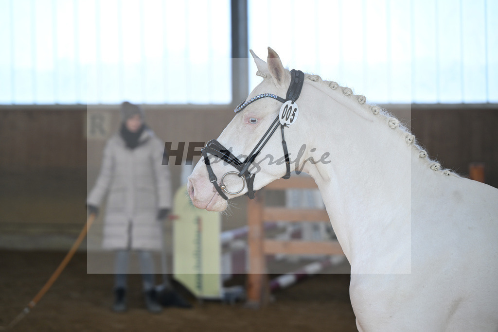 Kat-Nr. 5 EMR Gamarelli v. Giotto_Rupp_49250141 | hf-fotografie - Realisiert mit Pictrs.com