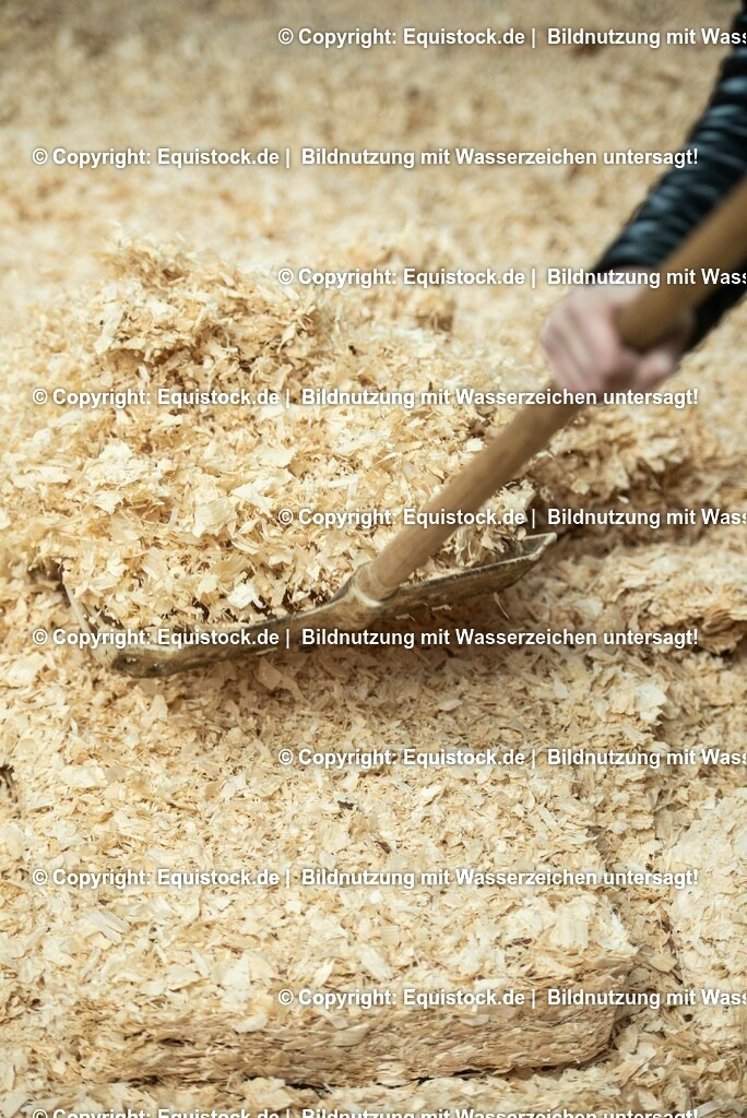 20190409_Einstreu_in_Pferdebox_0041 | Foto: Thomas Hartig