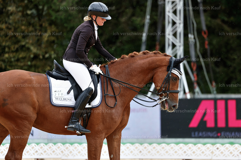 3-210-Dressur M_-StoibPH-2481 | working equitationturnier fotograf videograf stoibphotography marixx film working equitation deutschland reitsport turnierfotografie eventfotografie equestrian events