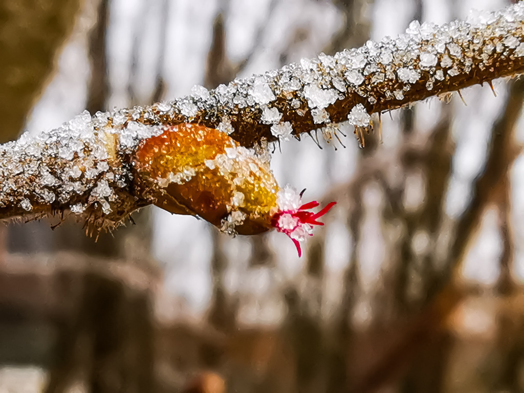 PSX_20230303_232849 | mtkfoto_ - Realisiert mit Pictrs.com