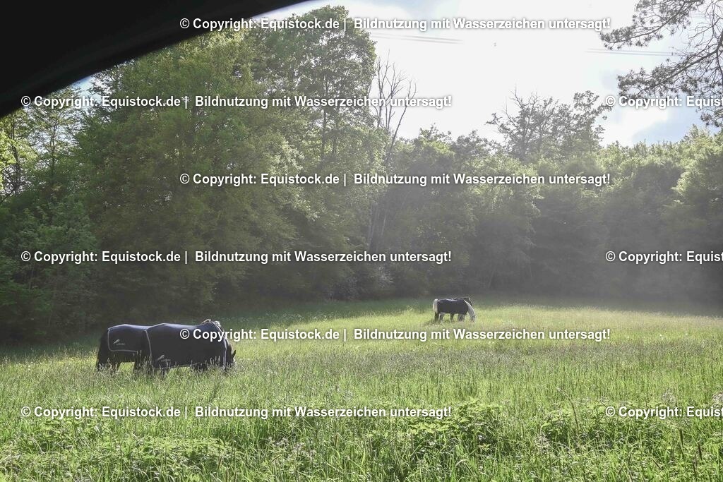 20250517_Impressionen_0091 | Foto: Thomas Hartig