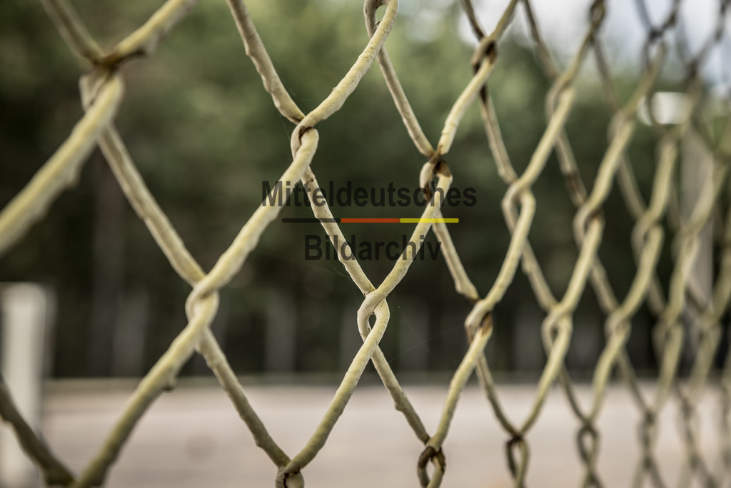 innerdeutsche Grenze Grünes Band Marienborn-7191 | Die innerdeutsche deutsch-deutsche Grenze, das Grüne Band - Realisiert mit Pictrs.com