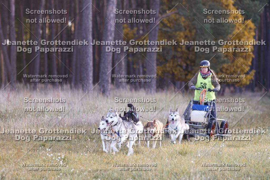 Dog Paparazzi - Elsholz 25 -22 | Dog Paparazzi Jeanette Grottendiek Fotografie & Videografie - Realisiert mit Pictrs.com
