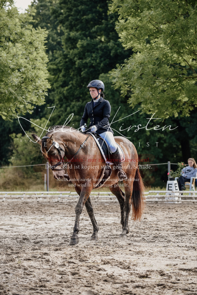DSC_9225 | Pferde- und Turnierfotografie in Westsachsen. Pferdeportraits, Auftragszeichnungen und intuitive Kunst.