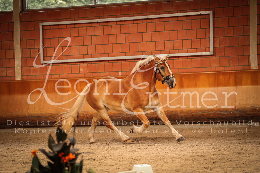 SaFL00224 | Leoni Ertmer Photography - Realisiert mit Pictrs.com