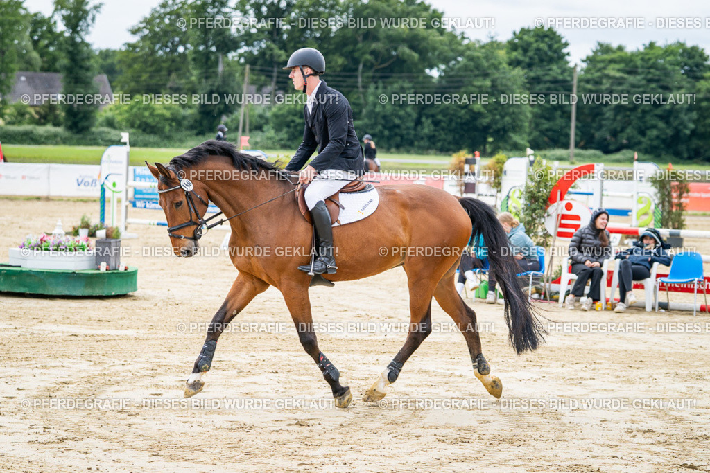 DSC04901 | Pferdegrafie