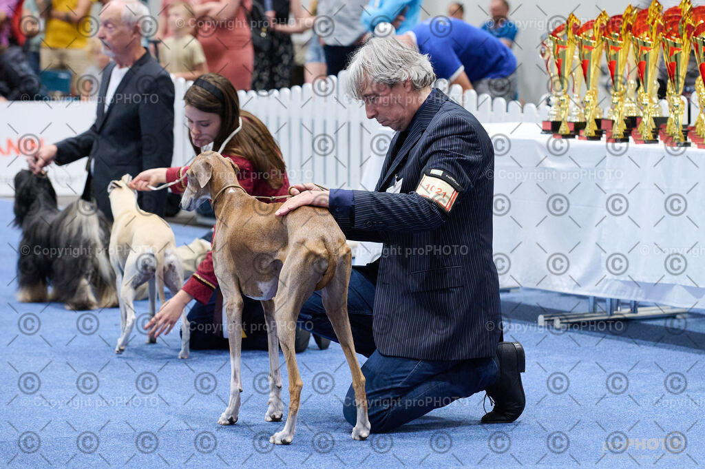 202406_ÖKV-IHA-Tulln24_DSC_4855 | proPHOTO - Realisiert mit Pictrs.com