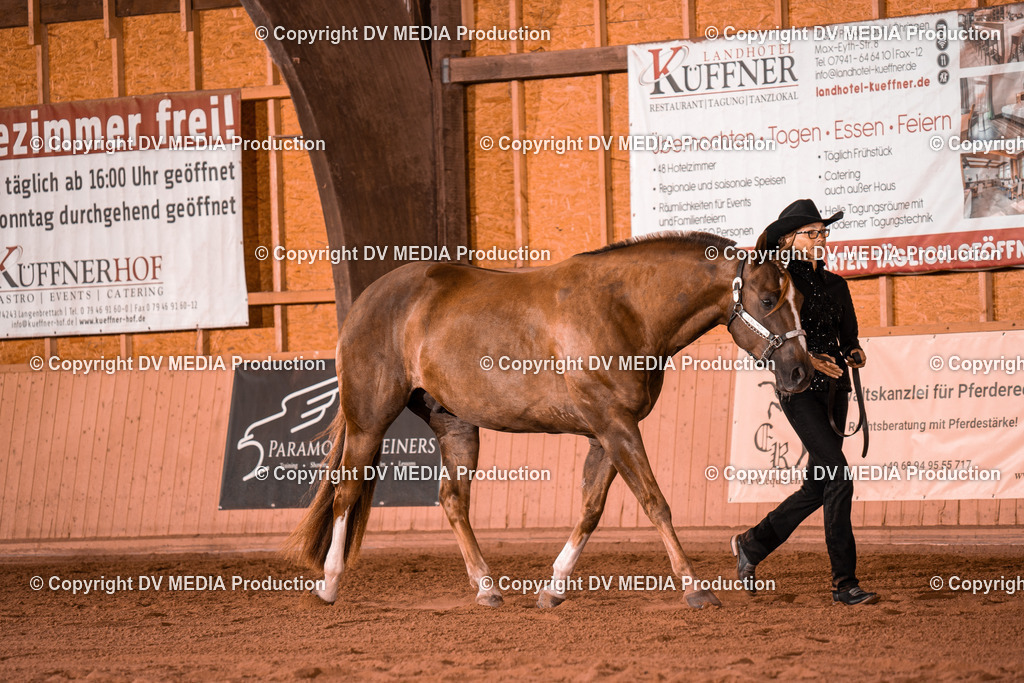 NE100115 | dv-media-shop - Realisiert mit Pictrs.com