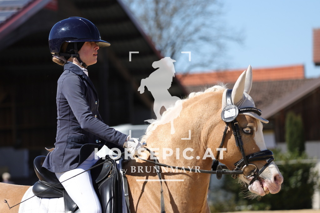 0P6A7578 | Willkommen bei Brunnmayr - Design & Fotografie – Ihrem Spezialisten für Reitturniere und Pferdeveranstaltungen in Oberösterreich, Salzburg und Bayern! Seit über 17 Jahren sind wir leidenschaftlich dabei.