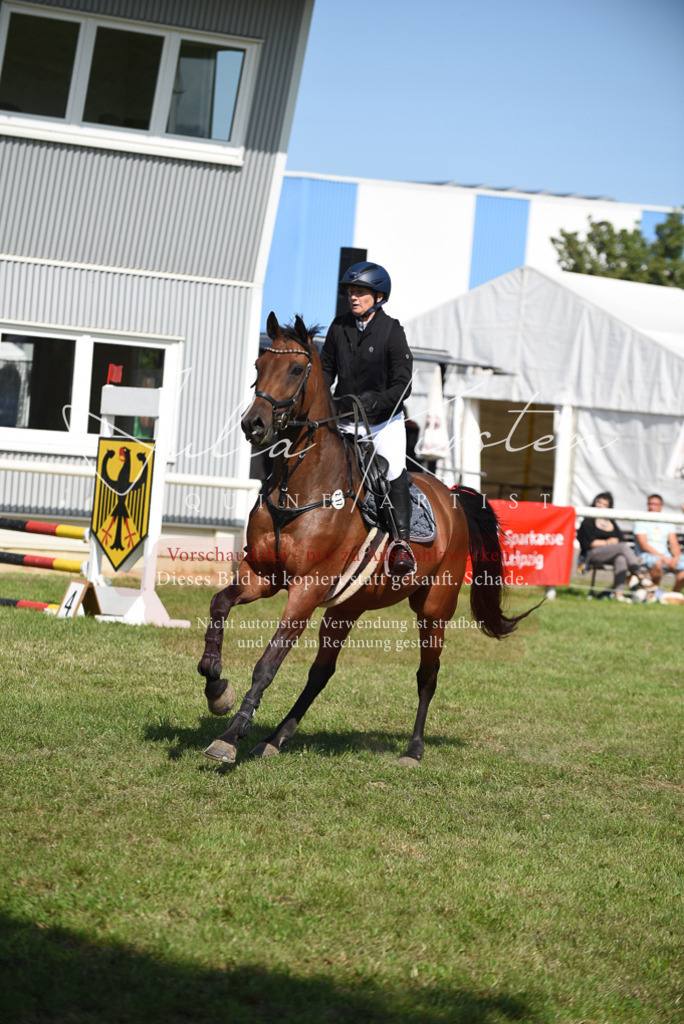 DSC_9101 | Pferde- und Turnierfotografie in Westsachsen. Pferdeportraits, Auftragszeichnungen und intuitive Kunst.