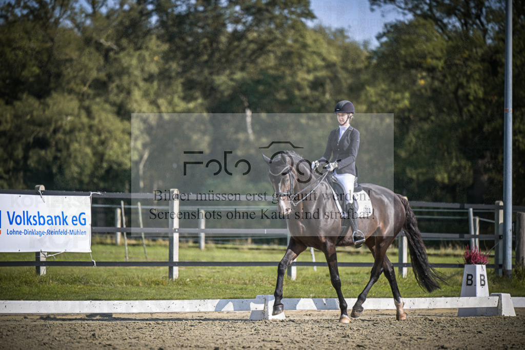DOS_1753 | Entdecke hochwertige Reitturnierfotos von Foto Oger. Professionell, emotional und authentisch – jetzt Lieblingsmomente im Shop bestellen.Deutschlandweite Turnierfotografie. - Realisiert mit Pictrs.com