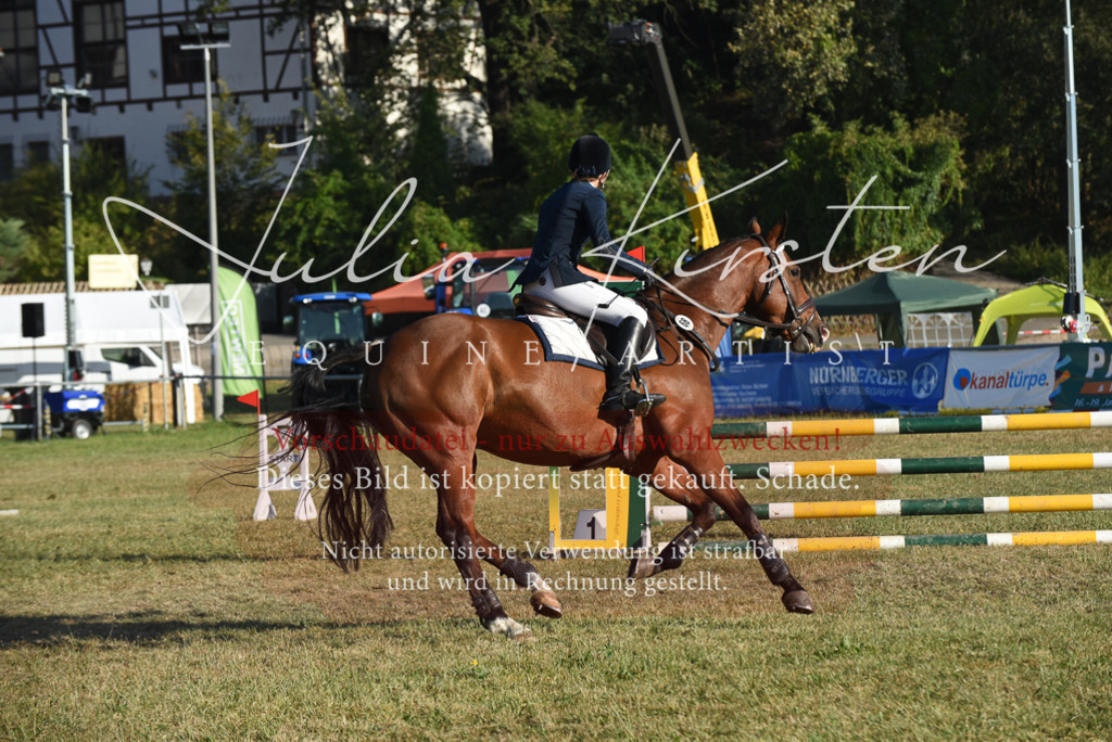 DSC_5016 | Pferde- und Turnierfotografie in Westsachsen. Pferdeportraits, Auftragszeichnungen und intuitive Kunst.