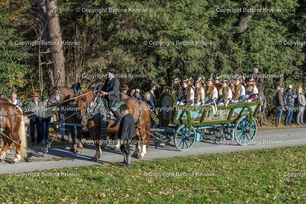 LBT25-190 | foto-bettina-krinner - Realisiert mit Pictrs.com
