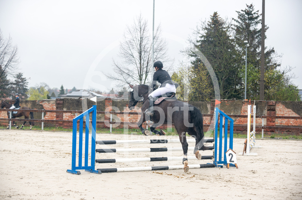 DSC_8403 | sattelsport - Realisiert mit Pictrs.com