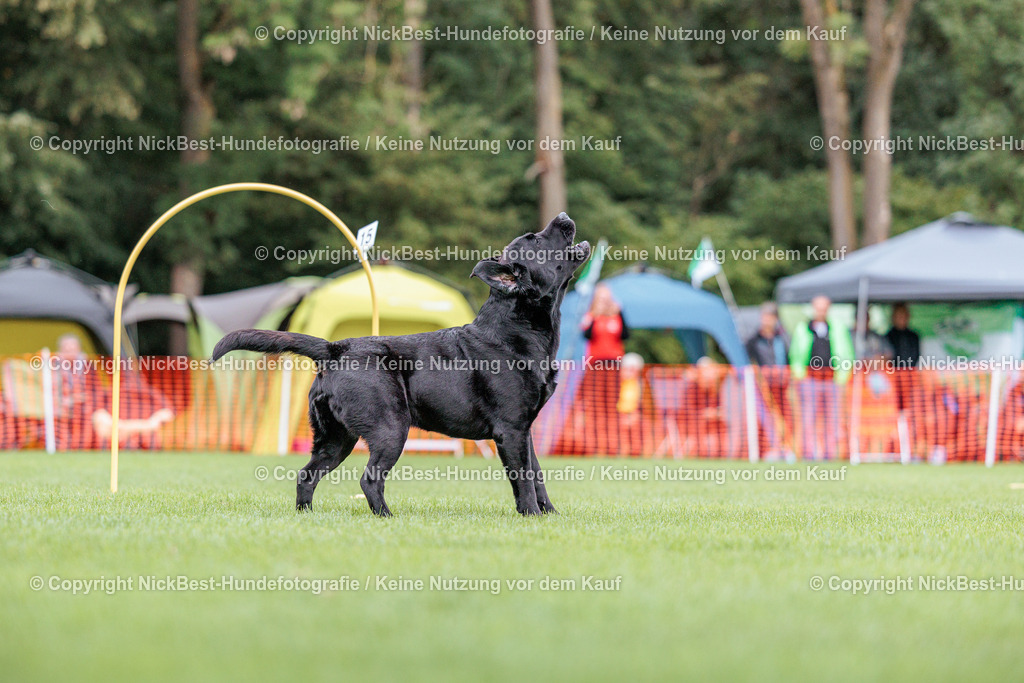 BSP Hoopers-H2 Tag2-2026-Nickbest-Hundefotografie-TuS Komet Arsten e.V.-7625 | Dein Hund! Dein Moment! Deine Erinnerungen! Hundefotografie in Bremen Blumenthal. Ich fange die besonderen Momente deines Vierbeiners ein – ob Indoor mit Blitzanlage oder in der freien Natur. Sicher dir dein Moment und dein Termin für eure Erinnerungen.