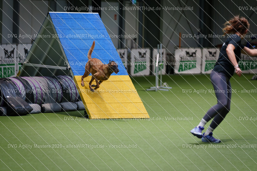 allesWIRTHgut_Tierfotografie-DVG_Agility_Masters_2026-14_45-7R501137 | Professionelle Tierfotografie in Mönchengladbach von Daniel Wirth (allesWIRTHgut). Liebevolle & natürliche Bilder von Hunden & Katzen für unvergessliche Erinnerungen.
