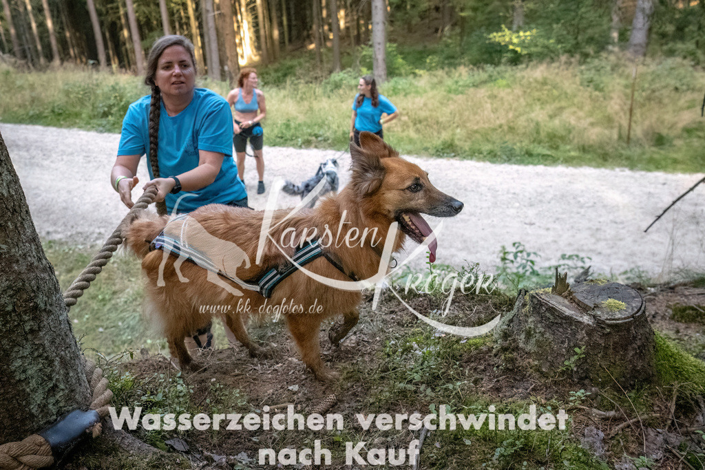 0945_ZZ93084-DeNoiseAI-low-light | kk-dogfotos