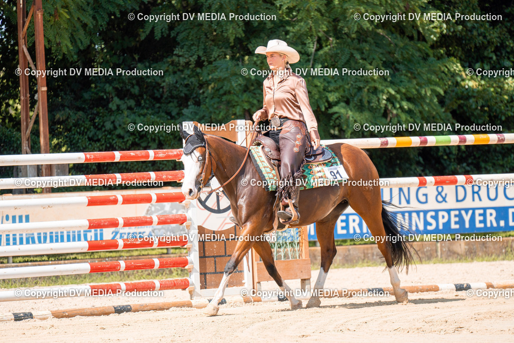 ZH100680 | dv-media-shop - Realisiert mit Pictrs.com